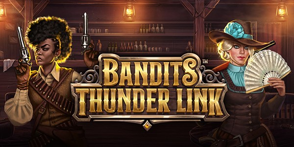 Reglas de la tragamonedas Bandits Thunder Link