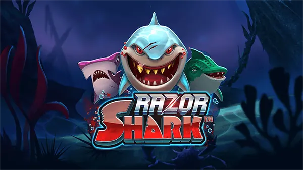 Slot Push Gaming